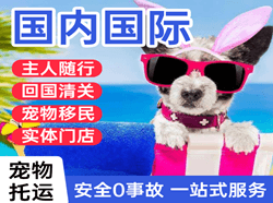 南洋航空货运国际宠物托运 【国